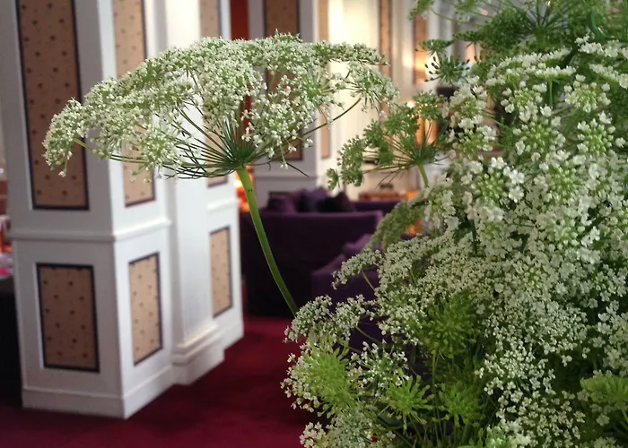 Hotel Le Saint Gregoire