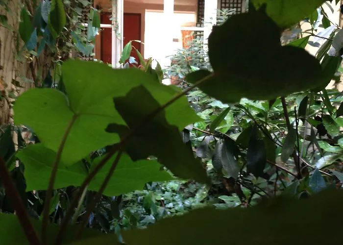 Hotel Le Saint Gregoire